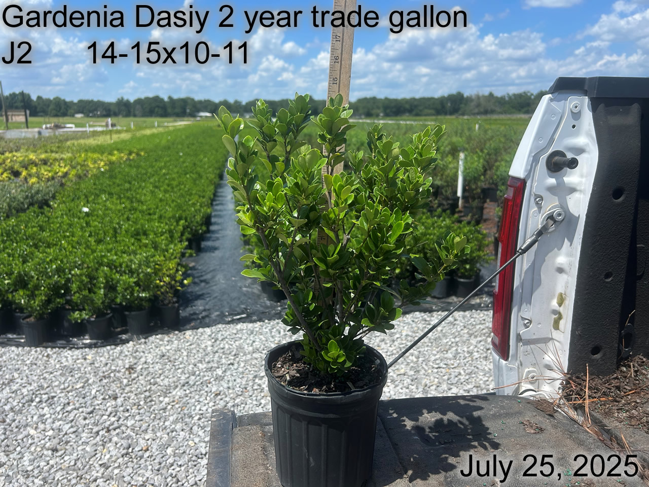 gallery/gdai2yt j2 july25.jpg